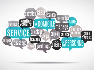 Focus : Les Services à La Personne (SAP)