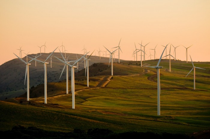 Focus sur l'énergie éolienne pour les entreprises